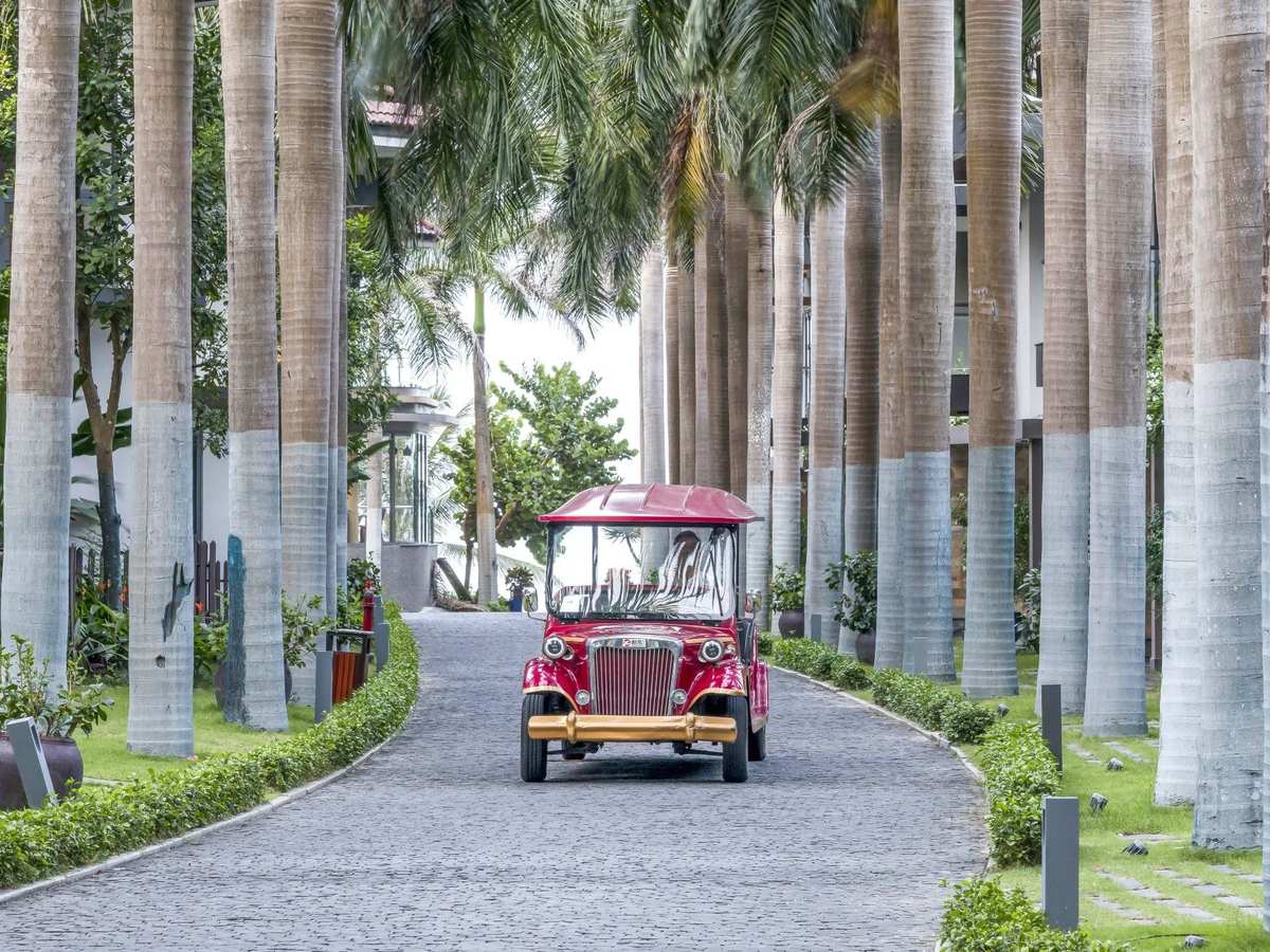 Red open-sided electric buggy driving along a paved lane lined with tall palm trees and low hedges